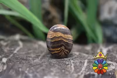 استروماتولیت