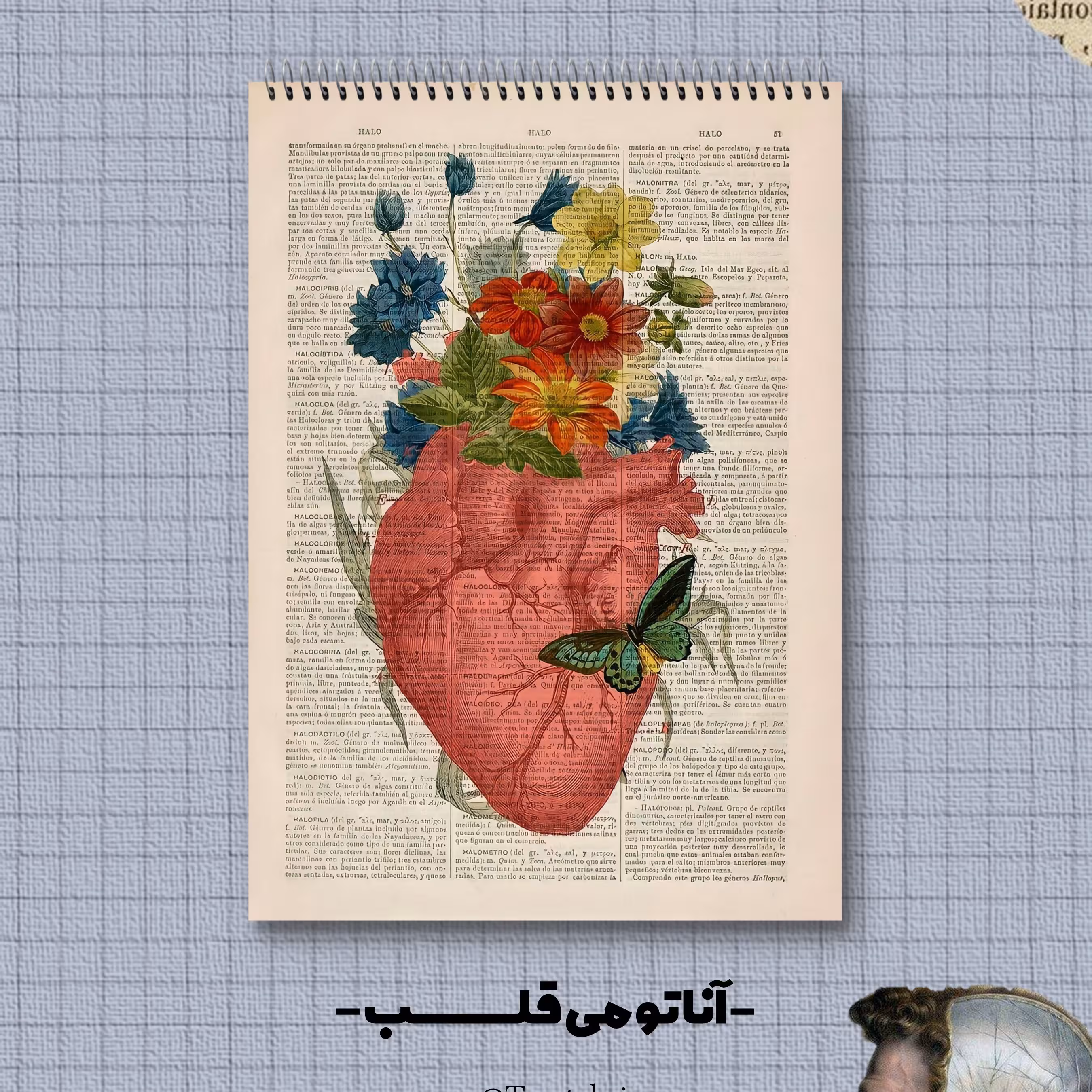 دفتر شطرنجی جزوه نویسی 80 برگ سایز آ4 طرح قلب