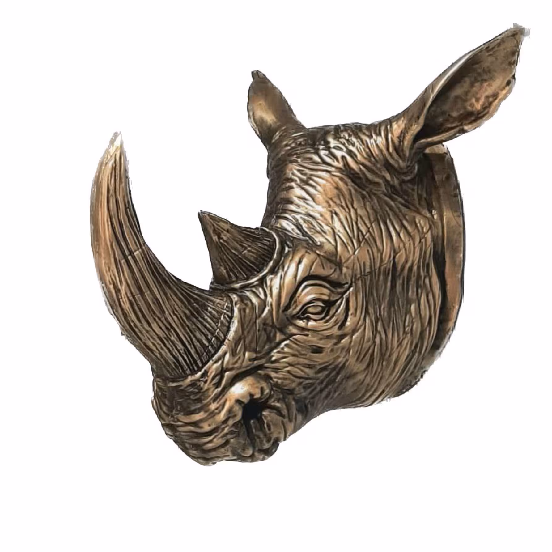 دیوارکوب کرگدن