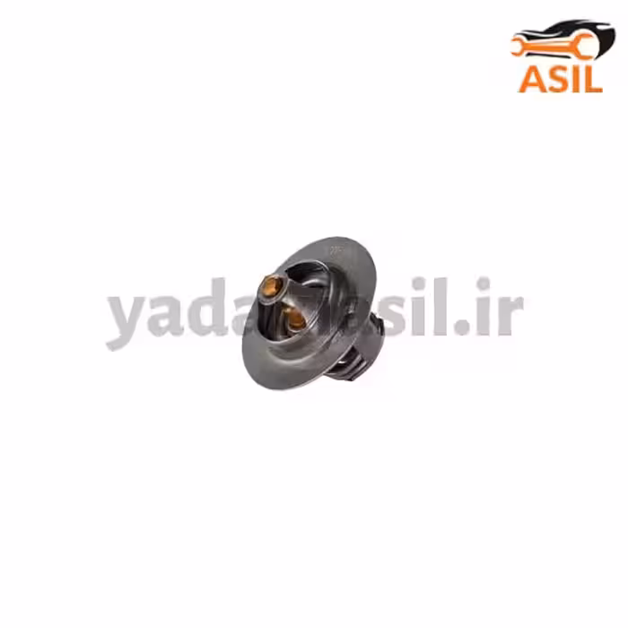 ترموستات پیکان 75 درجه الپا