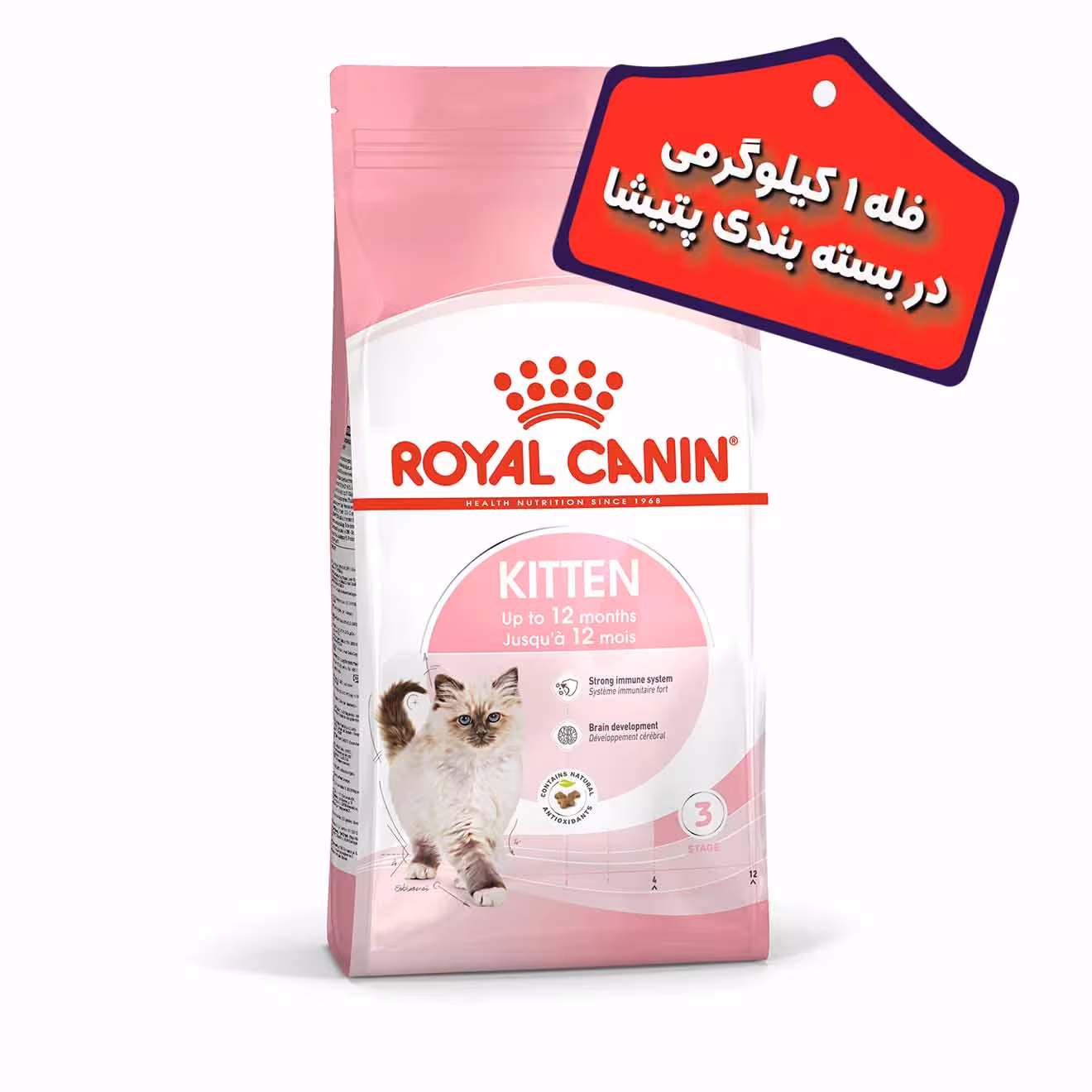 غذای خشک بچه گربه رویال کنین مدل کیتن Kitten (“بصورت فله”) وزن 1 کیلوگرم