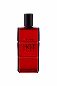 عطر ادکلن دیویدوف هات واتر | Davidoff Hot Water
