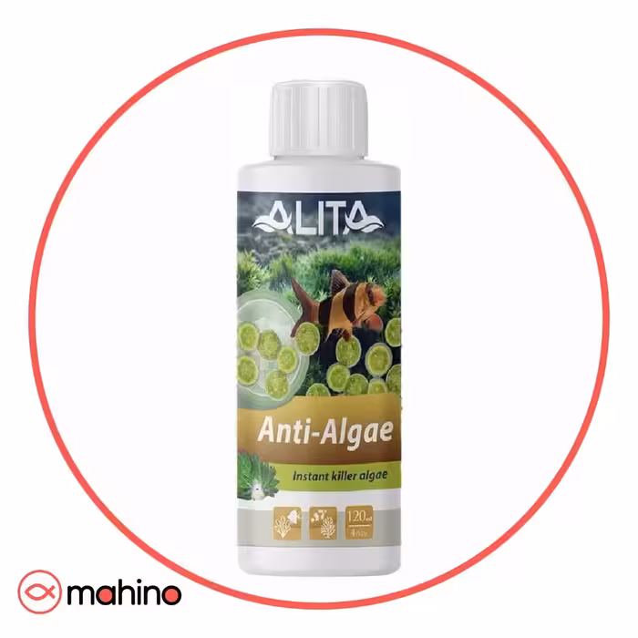 محلول ضد جلبک آنتی آلگی آلیتا