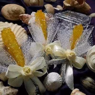 گیفت عقدکنان شاخه نبات