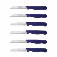 ست 6 عددی چاقو میوه و سبزی سولینگن طرح سیمی | تیغه فولاد ضدزنگ آلمانی | دسته لاکی‌گرد مقاوم | مناسب پذیرایی و استفاده روزمره