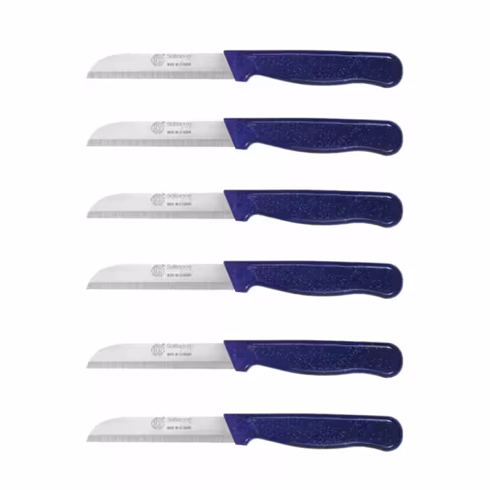 ست 6 عددی چاقو میوه و سبزی سولینگن طرح سیمی | تیغه فولاد ضدزنگ آلمانی | دسته لاکی‌گرد مقاوم | مناسب پذیرایی و استفاده روزمره