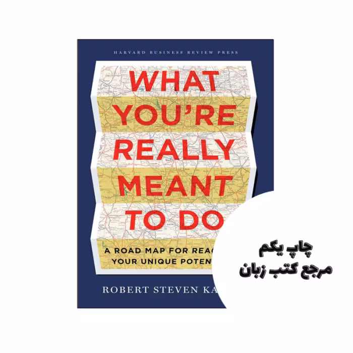 کتاب What Youre Really Meant to Do (کتاب کاری که واقعا قرار است انجام دهید) متن کامل بدون حذفیات
