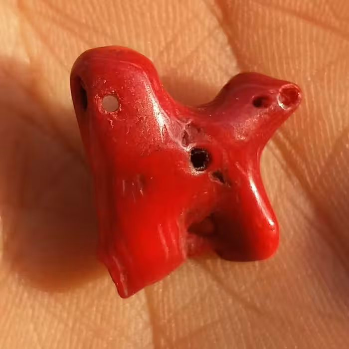 مرجان سرخ سوراخ دار مناسب آویز شاهکار خلقت بی نظیییر خا ا اص
دو طرفه