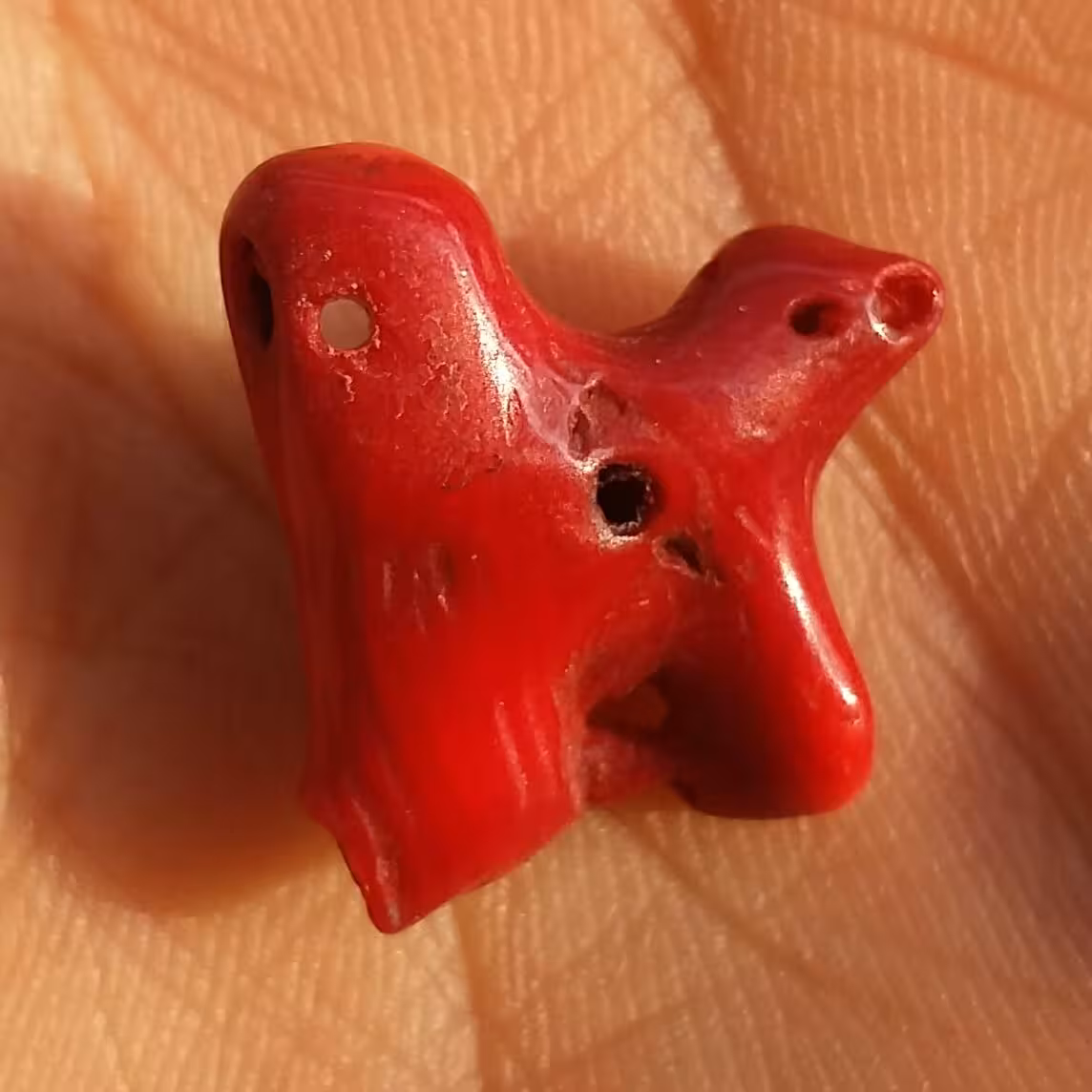 مرجان سرخ سوراخ دار مناسب آویز شاهکار خلقت بی نظیییر خا ا اص
دو طرفه