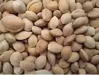 بذر درخت آلوچه