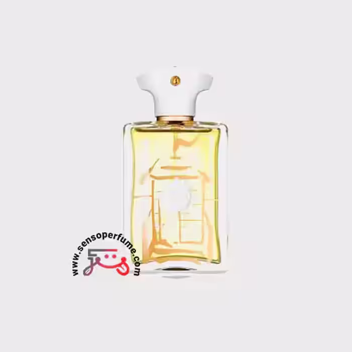 عطر ادکلن آمواج بیچ هات مردانه | amouage beach hut