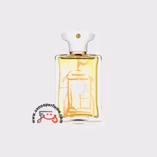 عطر ادکلن آمواج بیچ هات مردانه | amouage beach hut
