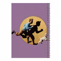 دفتر مشق 80 برگ اس جی مدل تن تن