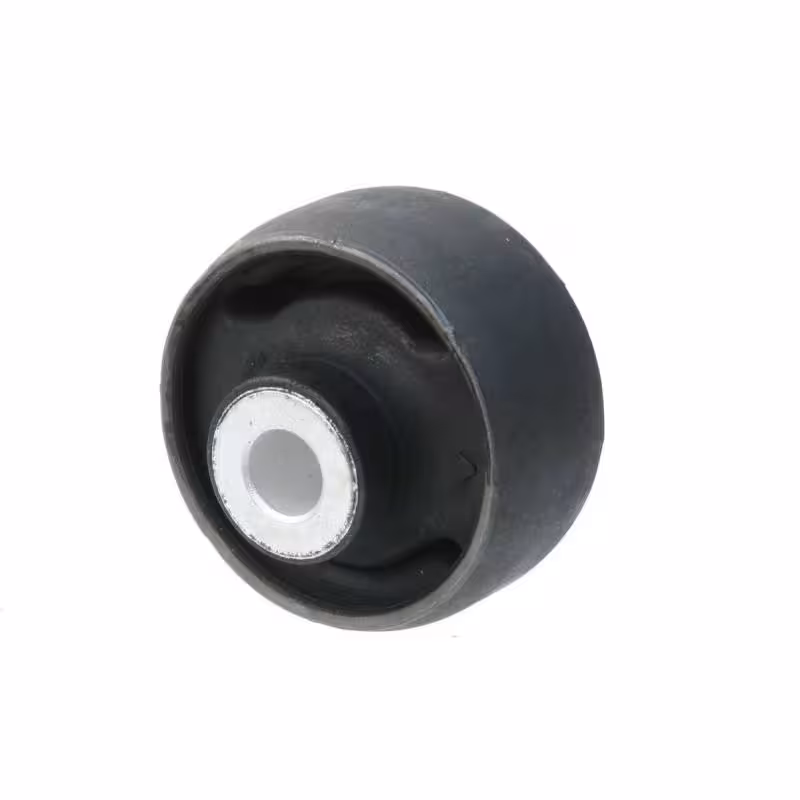 بوش طبق دیگنیتی پرایم