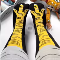 جوراب پامرغی