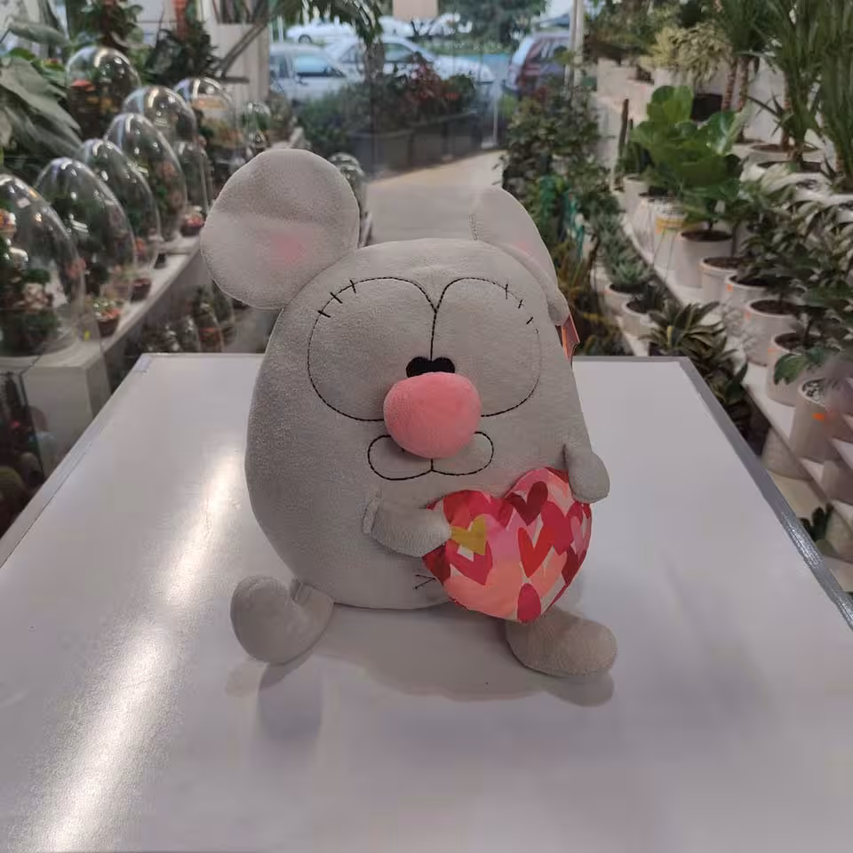 عروسک موش دوست داشتنی در قم