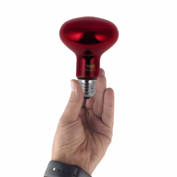 لامپ مادون قرمز 100 وات لاکی هرپ مدل INFRARED-220V-100W-E27