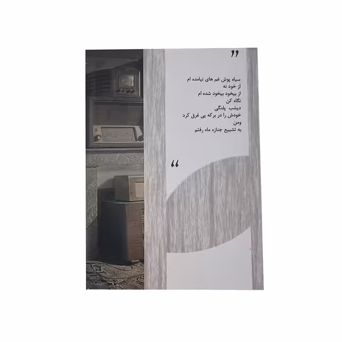 کتاب سالمردگی اثر مبین محمودی نشر خیابان