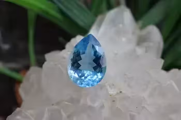 بلوتوپاز سوئیس