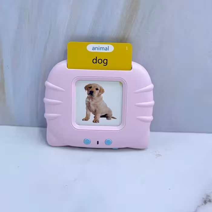 کیت آموزش زبان انگلیسی اصلی(224کلمه؛ 12 موضوع)