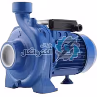 پمپ آب لونا LUNA دو اسب دو اینچ استخری