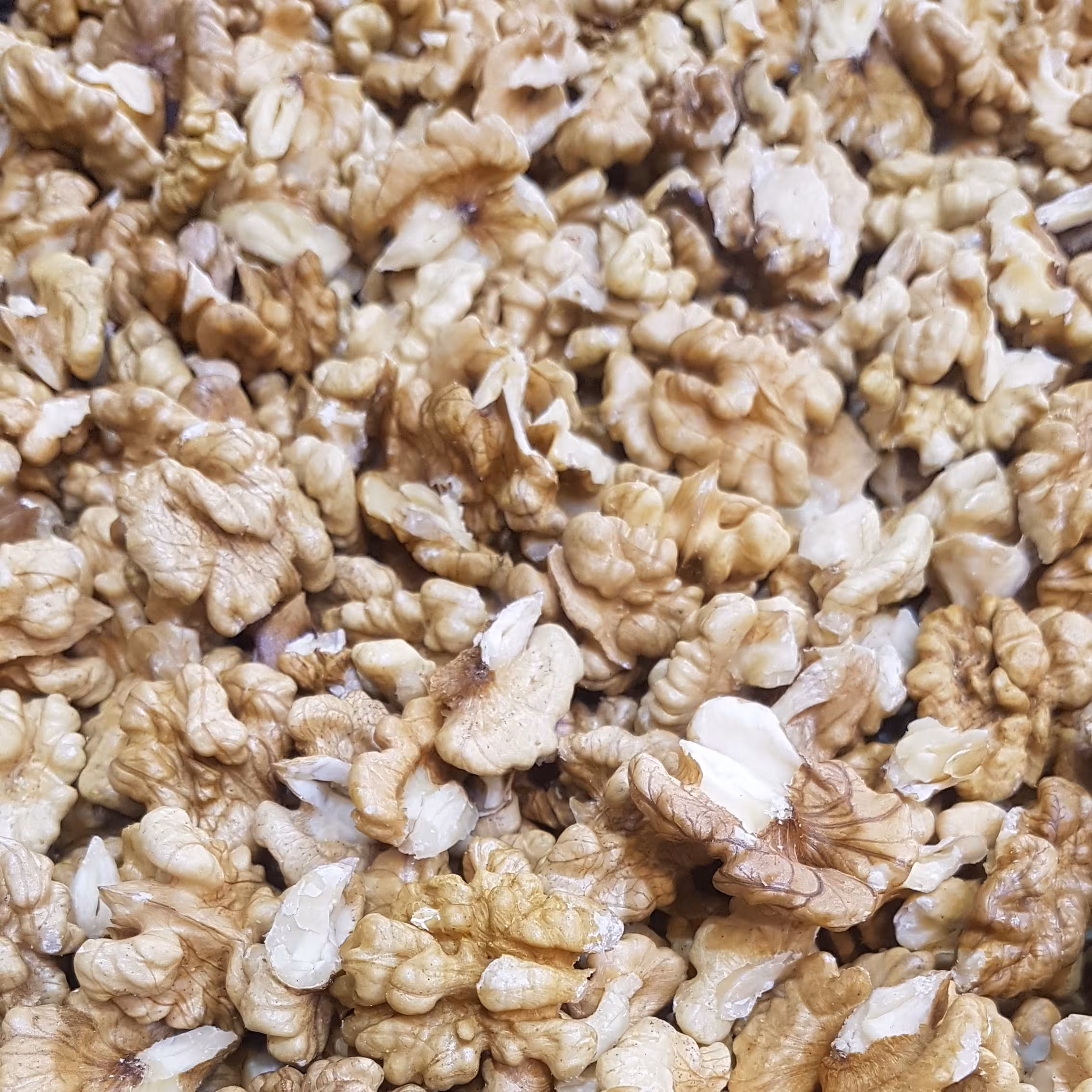 مغزگردو اعلا فشم 500گرمی ولی عصر