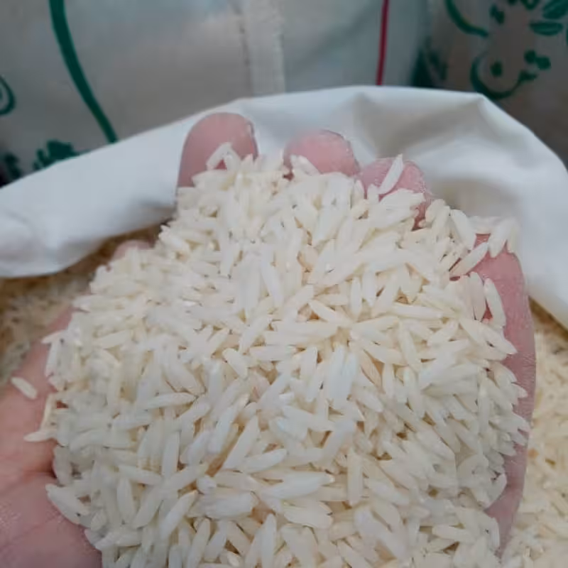 برنج طارم محلی کشت دوم ارگانیک فریدونکنار بسته 10 کیلویی ارسال رایگان