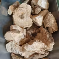 قسط شیرین - 500 گرم