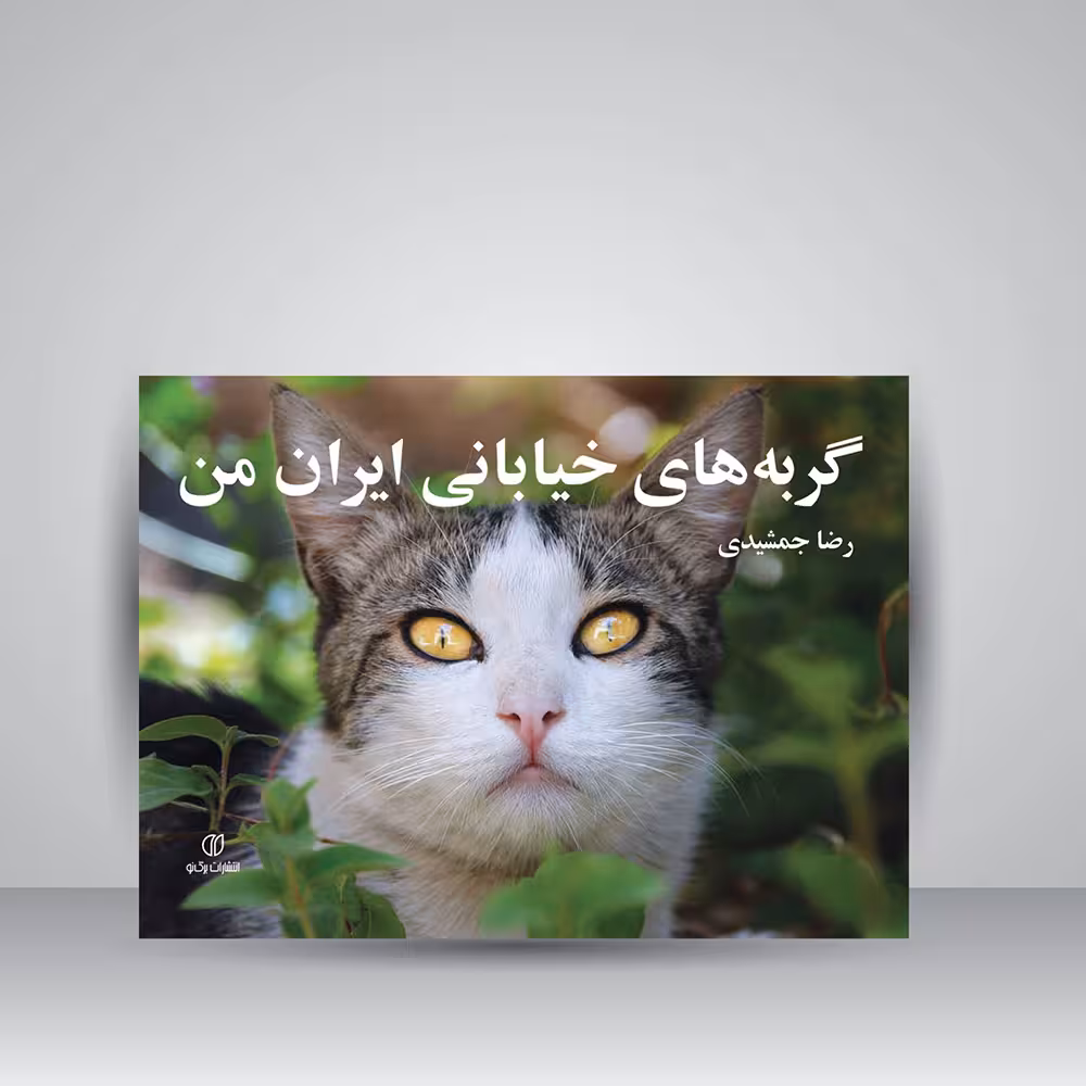 کتاب گربه های خیابانی ایران من