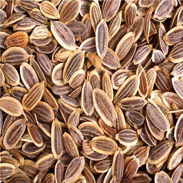 تخم شوید -(100گرمی )