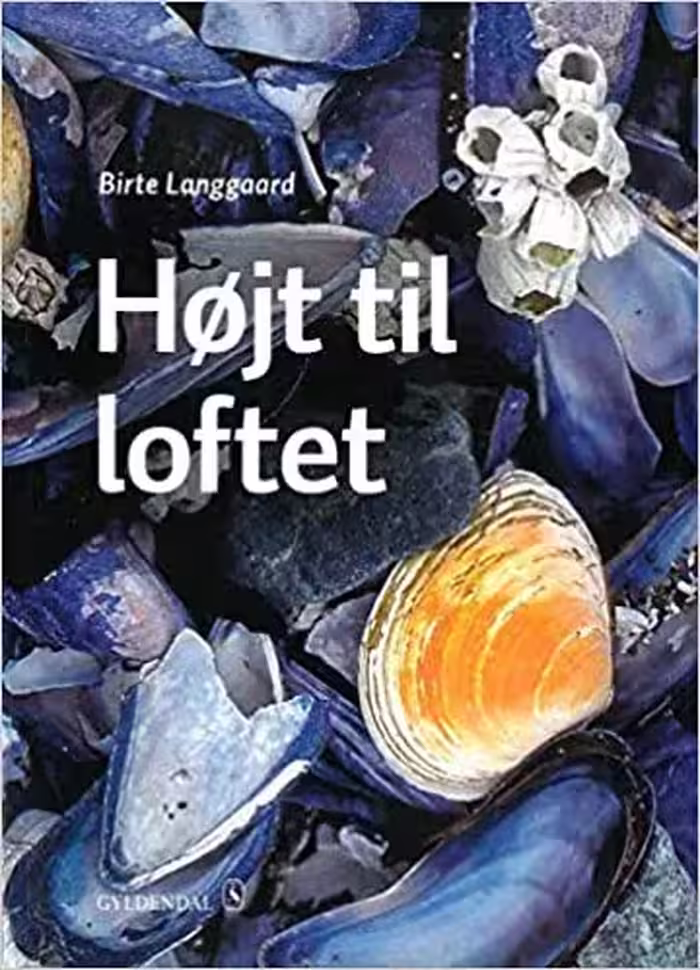 کتاب دانمارکی HØJT TIL LOFTET (چاپ 2019)