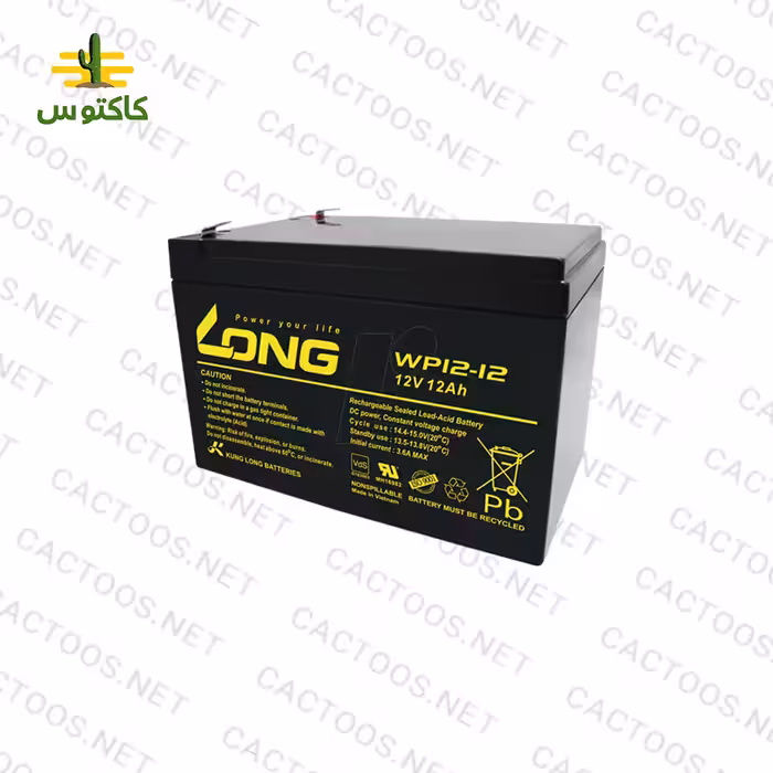 باتری یو پی اس 12 آمپر لانگ WP12-12