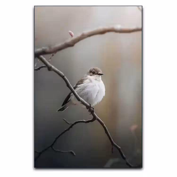 تابلو گنجشک نماد آزادی و امید