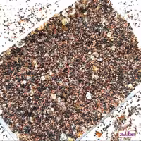 چهار تخم اعلا 50 گرمی اعتماد رفع سرماخوردگی(چهار تخمه) | amazonchi