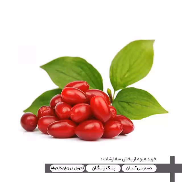 زغال اخته درجه یک - 500 گرمی