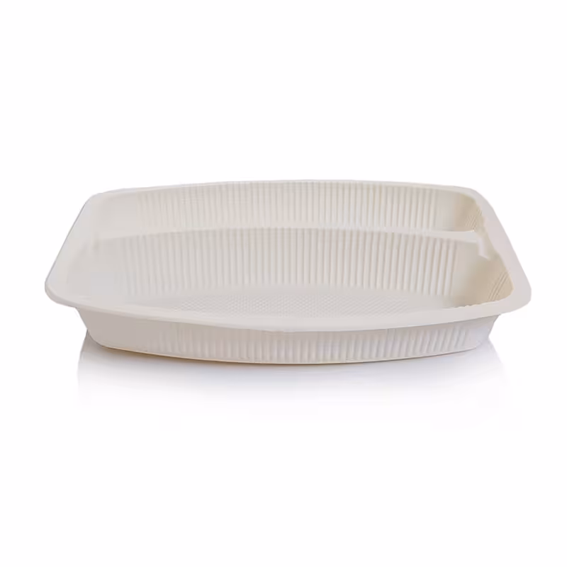 ظرف غذای دوخانه کبابی آملون