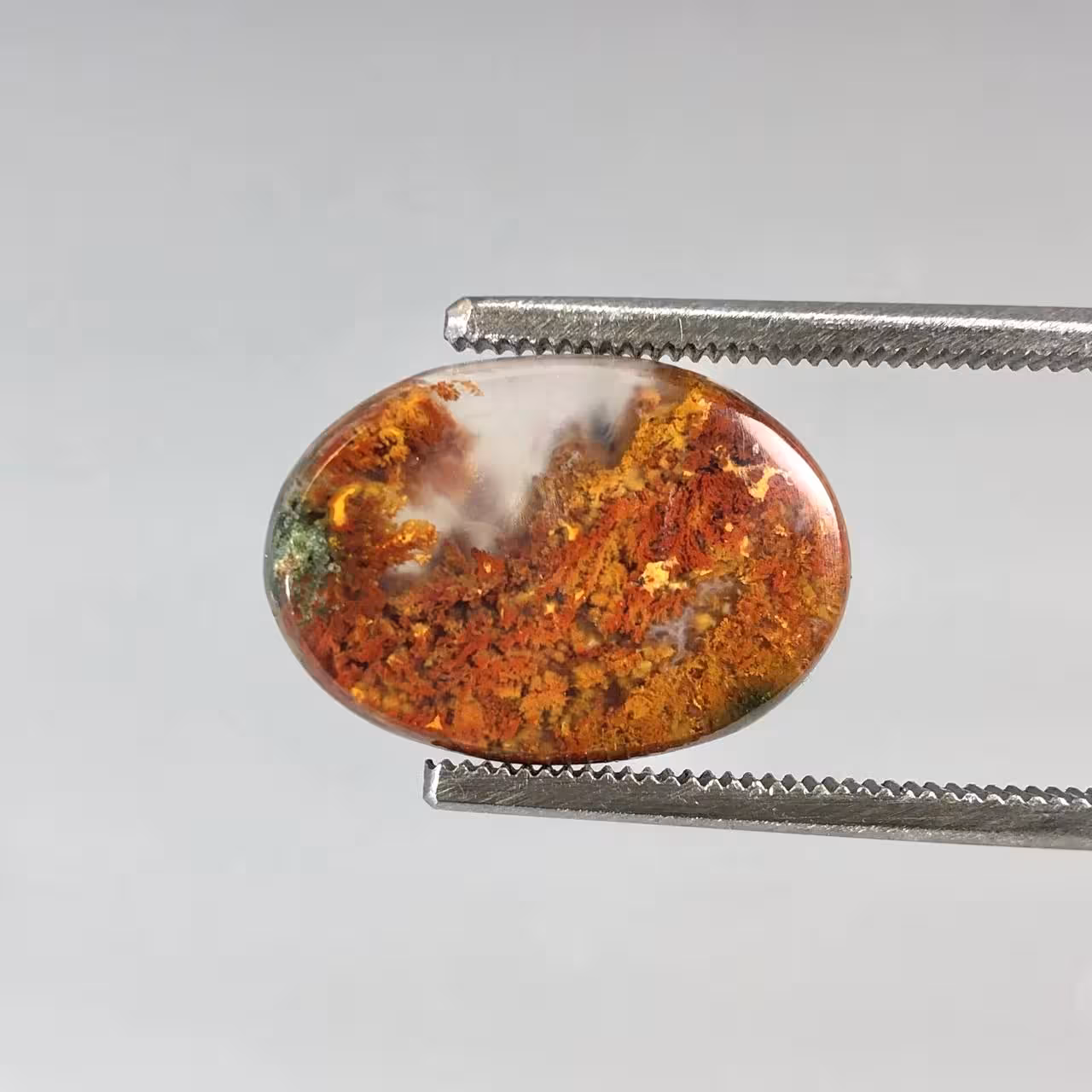 نگین عقیق شجر پاییزی طبیعی 251020