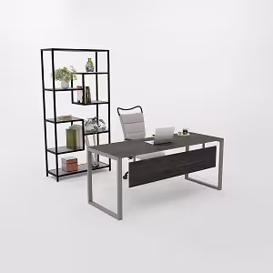 میز تحریر و کامپیوتر چندمنظوره همراه با کتابخانه جانبی (Library Desk) 134