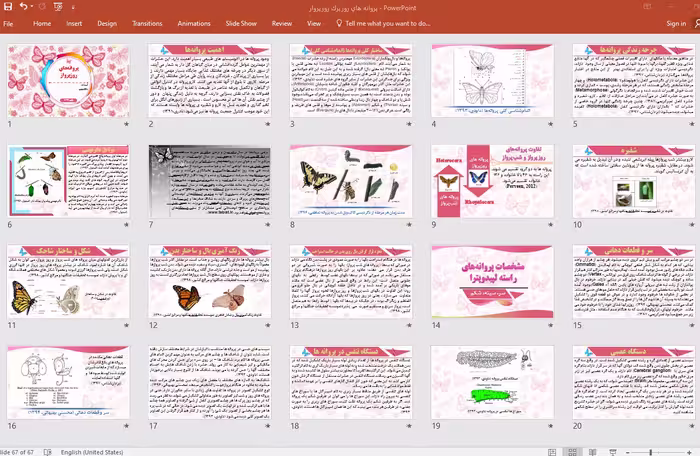 پاورپوینت پروانه های روزپرک روز پرواز