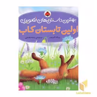 کتاب اولین تابستان کاب (داستانهای تصویری) اثر ربکا الیوت، نشر شهرقلم