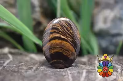 استروماتولیت