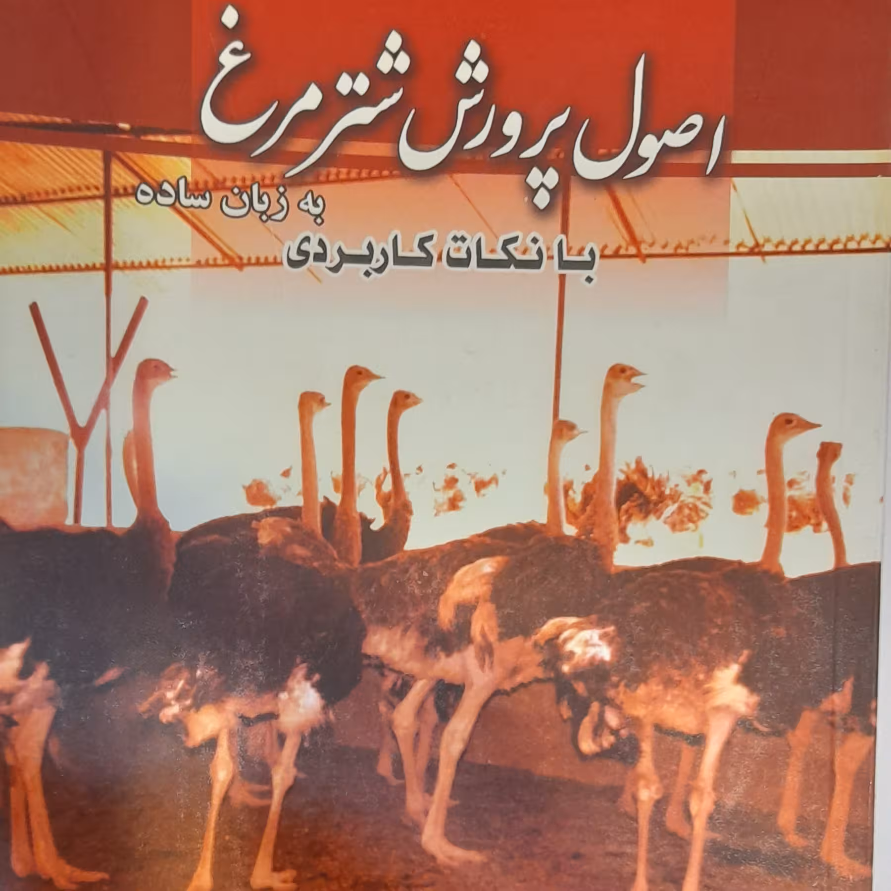 کتاب اصول پرورش شترمرغ به زبان ساده با نکات کاربردی