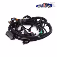 دسته سیم موتور نیسان دوگانه – IB001-EMS 24090 دناکو