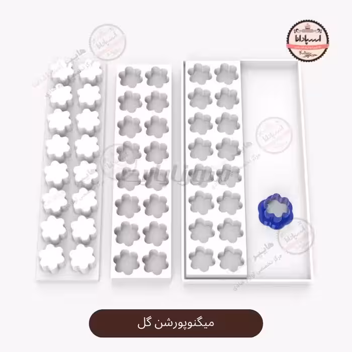 قالب میگنوپورشن گل