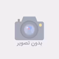 رژگونه این لی مدل pink rose شماره 02