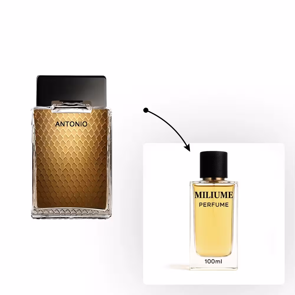 اسانس عطر Antonio Banderas Antonio برند payan - کد 1090 - آنتونیو باندراس آنتونیو 100ML - میلیوم پرفیوم