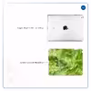 برچسب پوششی ماهوت مدل Green Crystal Marble مناسب برای تبلت اپل iPad 2 2011 A1396