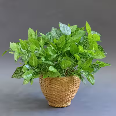 گل مصنوعی مدل بوته برگ لمسی طرح گردو