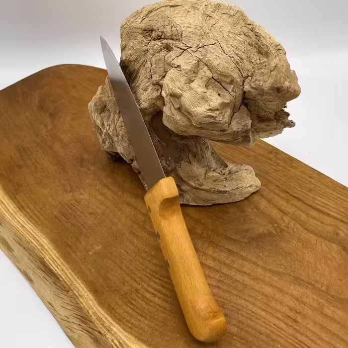 چاقوی آشپزخانه پناهنده مدل سلاخی