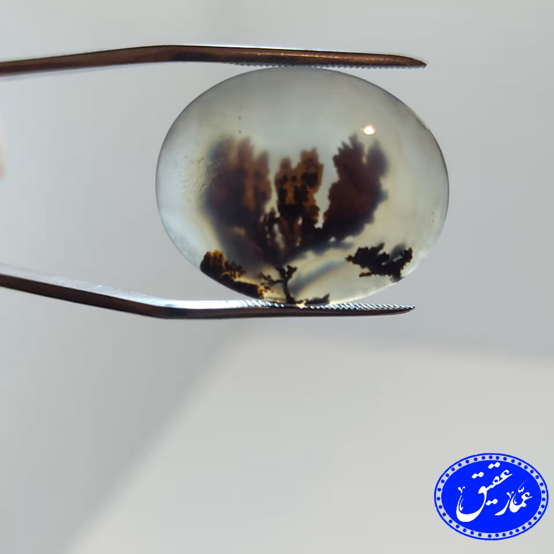 نگین عقیق شجر  تک درخت